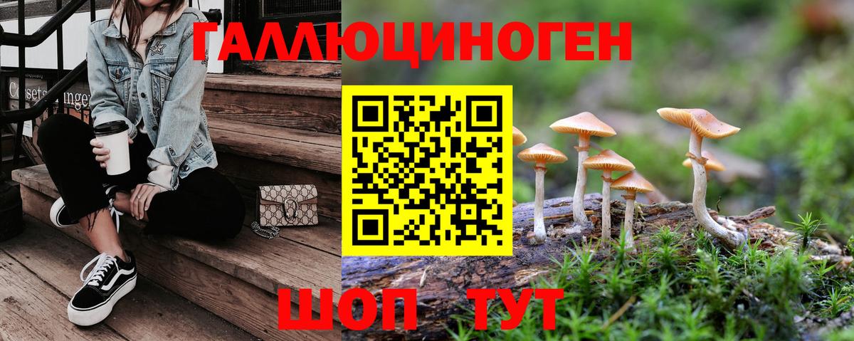 Галлюциногенные грибы прущие грибы  Вход с VPN  Галлюциногенные грибы Psilocybine cubensis  Лосино-Петровский 